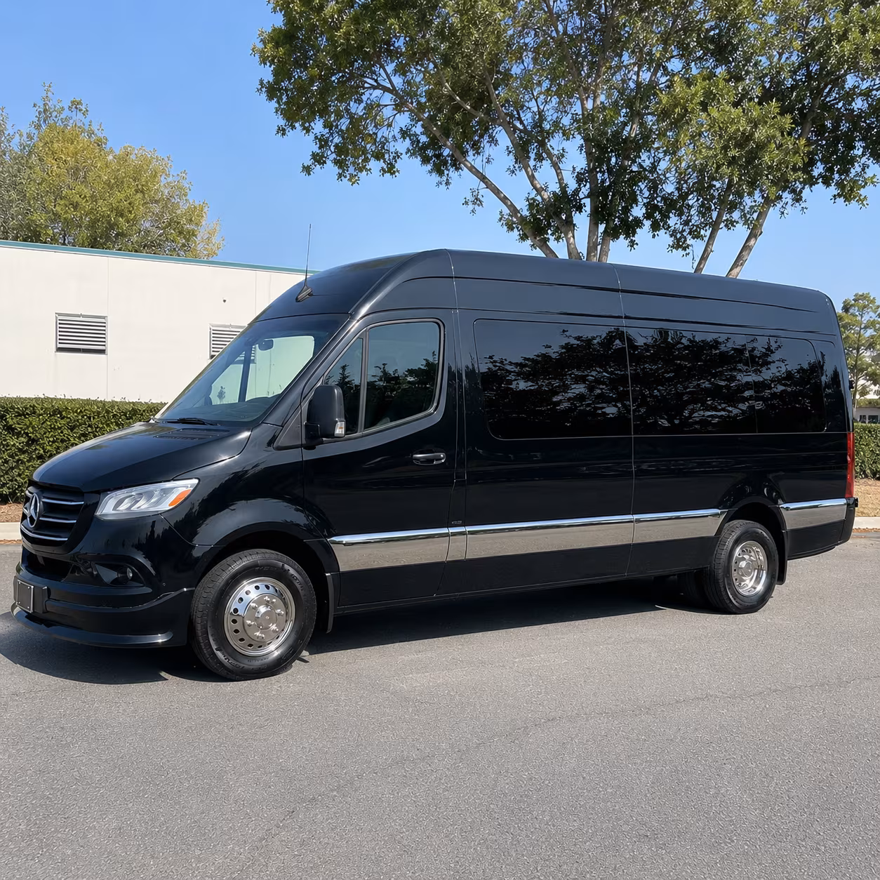 Tucson Birthday Transportation